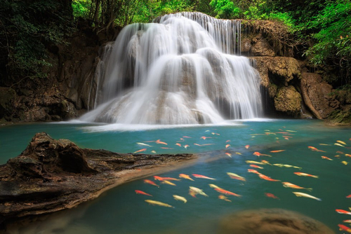 Природа 2 №37 Фотообои и Фрески ручной работы