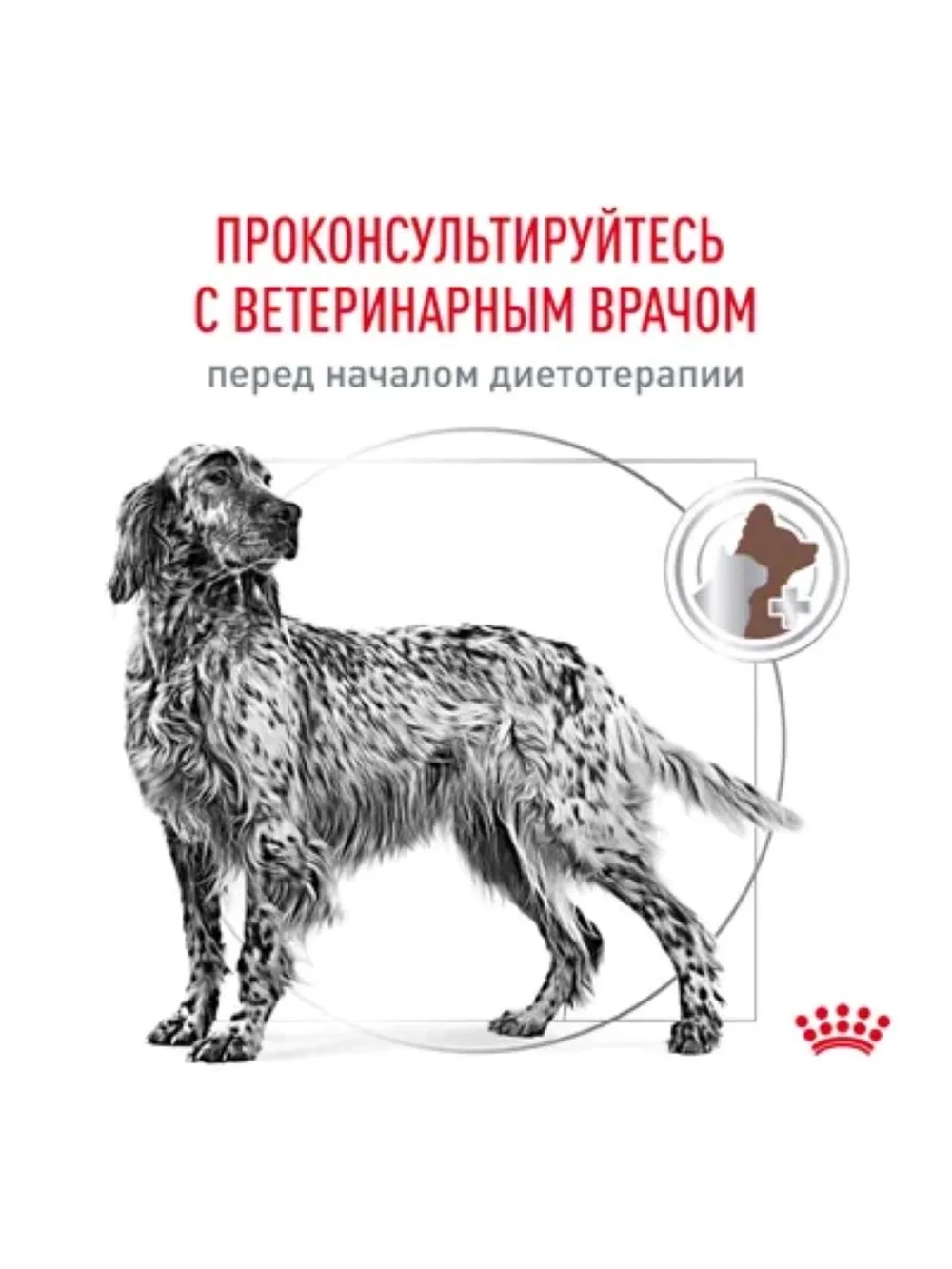 Gastrointestinal 2кг Корм для собак