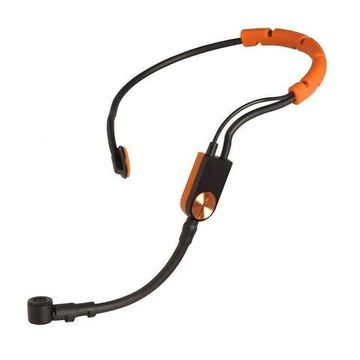 SHURE BLX14E/SM31 M17