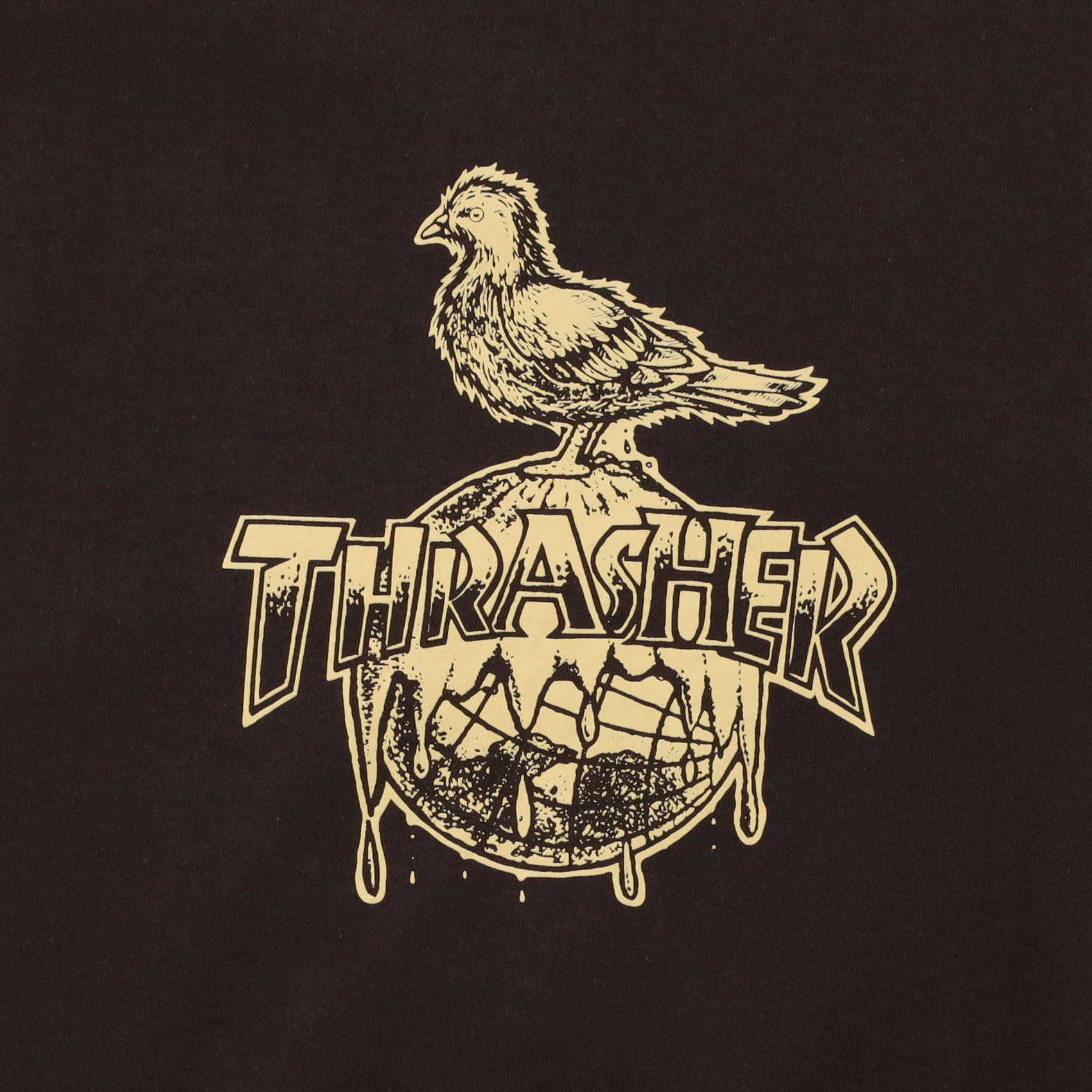 Футболка Thrasher Cover The Earth T-Shirt (dark chocolate) артикул: - купить в магазине Дайс