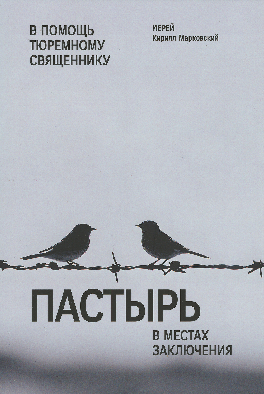 Пастырь в местах заключения. В помощь тюремному священнику
