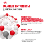 Royal Canin Digestive Care Дайджестив Кэа Корм сухой профилактика нарушений пищеварительной системы для взрослых кошек 2кг