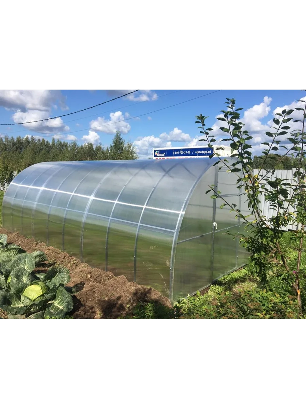 Теплица Агросфера-Престиж 3х4м дуги 30х20 мм, шаг 67 см