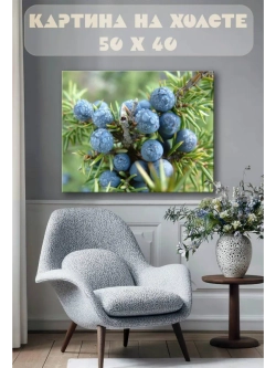 Картина на стену 40 X 50 Ягоды можжевельника