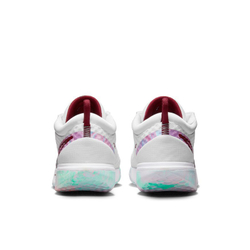 Женские Кроссовки теннисные Nike Zoom Court Pro - white/glacier blue/dark beetroot