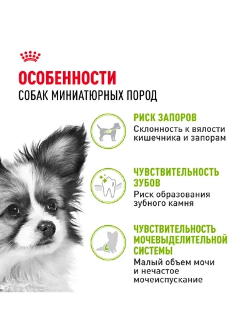 X-Small Adult Корм для собак 1,5кг