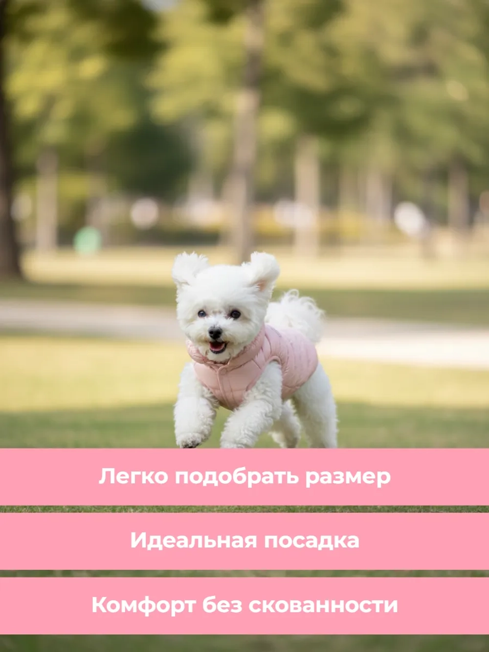 Жилет для животных