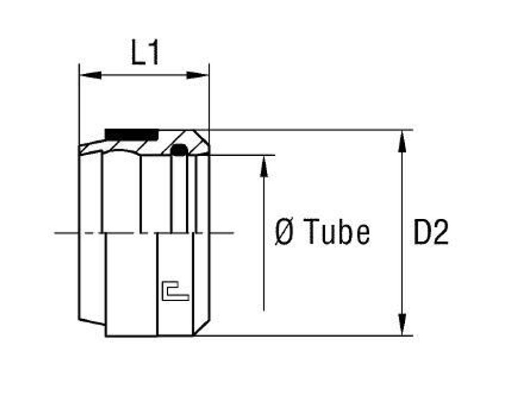 Кольцо R DS30 B4 CAST Кольцо R DS30 B4 CAST