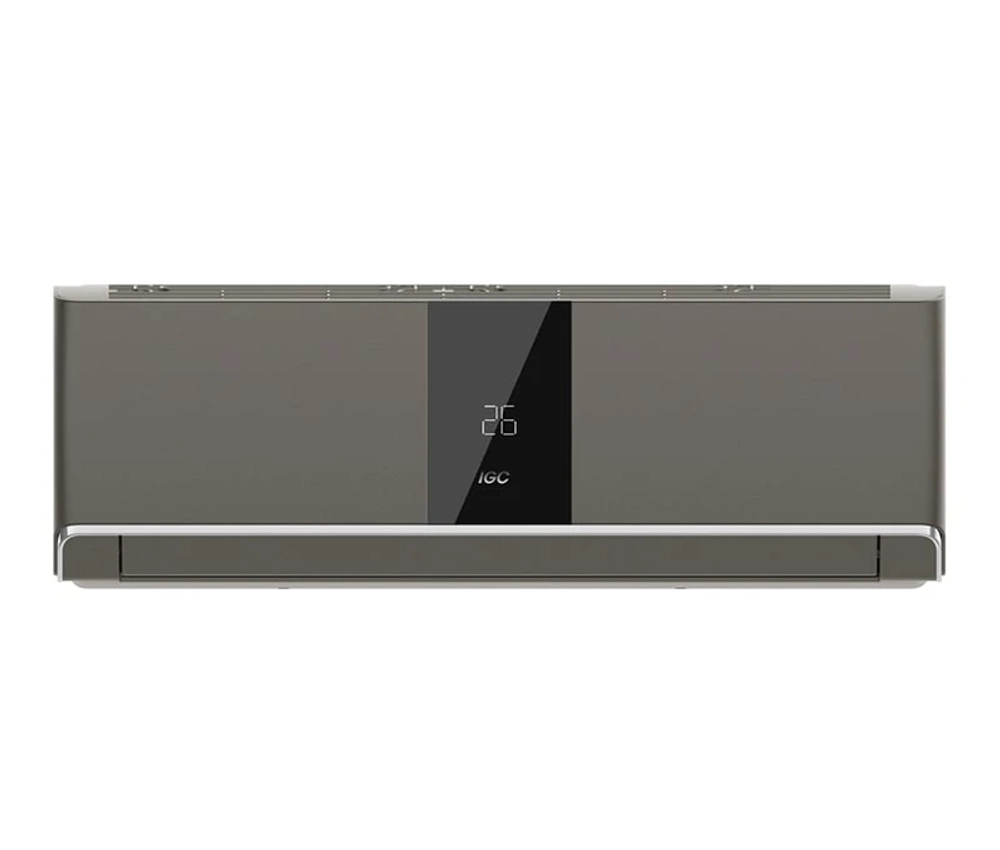 IGC RAS-V12RTF