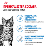 Royal Canin Indoor Sterilized Индор стерилайзд Корм влажный для стерилизованных кошек в возрасте от 1 года до 7 лет живущих в помещении паштет 85г