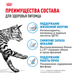 Royal Canin Indoor 7+ Индор Корм сухой сбалансированный для стареющих кошек в возрасте от 7 до 12 лет живущих в помещении 1,5кг
