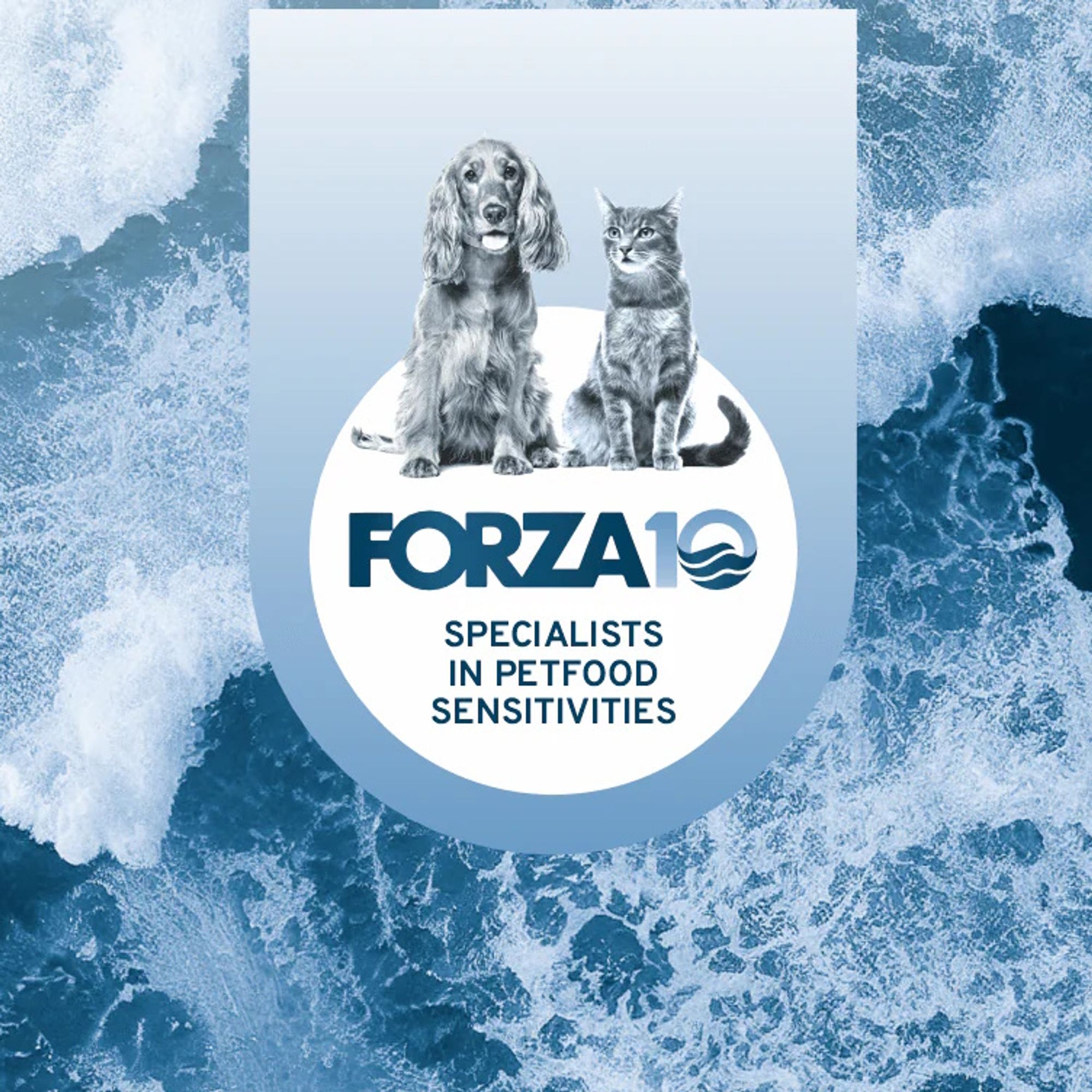 Forza10: ветеринарные диеты, которые реально работают при аллергии и панкреатите Forza10: ветеринарные диеты, которые реально работают при аллергии и панкреатите