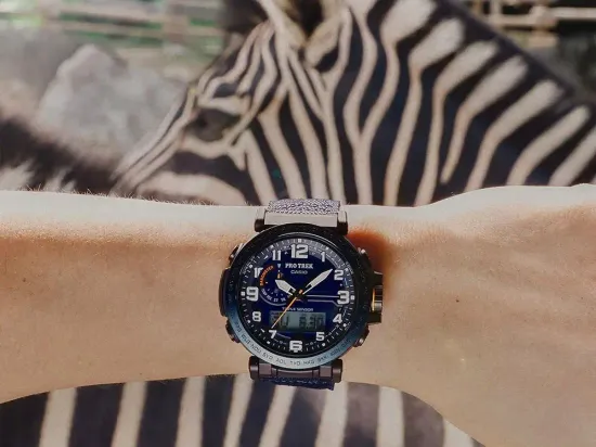 Наручные часы Casio Pro Trek PRG-601YB-2DR