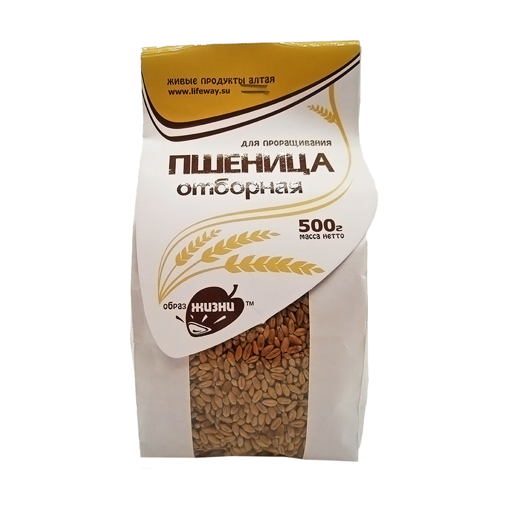 Пшеница для проращивания (wheat) LifeWay | Образ жизни 500г