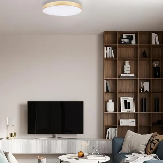 Потолочный светильник Flims 10228/A Loft It