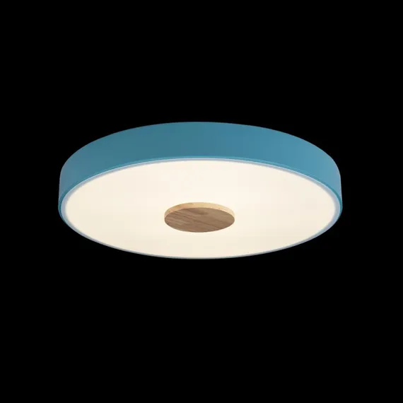 Потолочный светильник Axel 10003/24 Blue Loft It