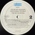 Stevie Ray Vaughan And Double Trouble - The Sky Is Crying (Голландия 1991г.)