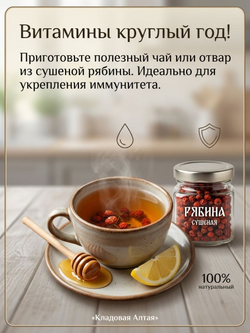 Красная рябина сушеная