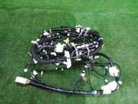 DSCN9515.JPG