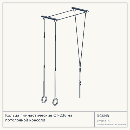 Кольца гимнастические СТ-236 на потолочной консоли — от 13 000 ₽
