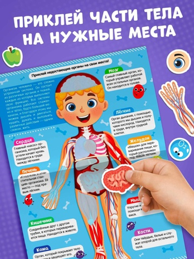 Наклейки «Как устроено моё тело», 16 стр