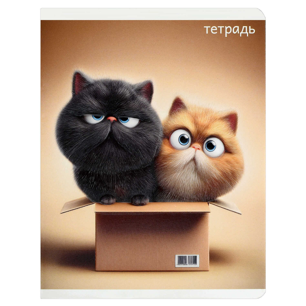 Тетрадь, 48 л, клетка, КОТЯРЫ /А5