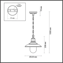 Уличный светильник подвесной Campa 4965/1 Odeon Light