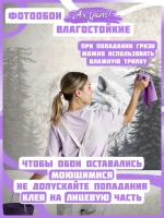 фотообои лес в тумане и волки