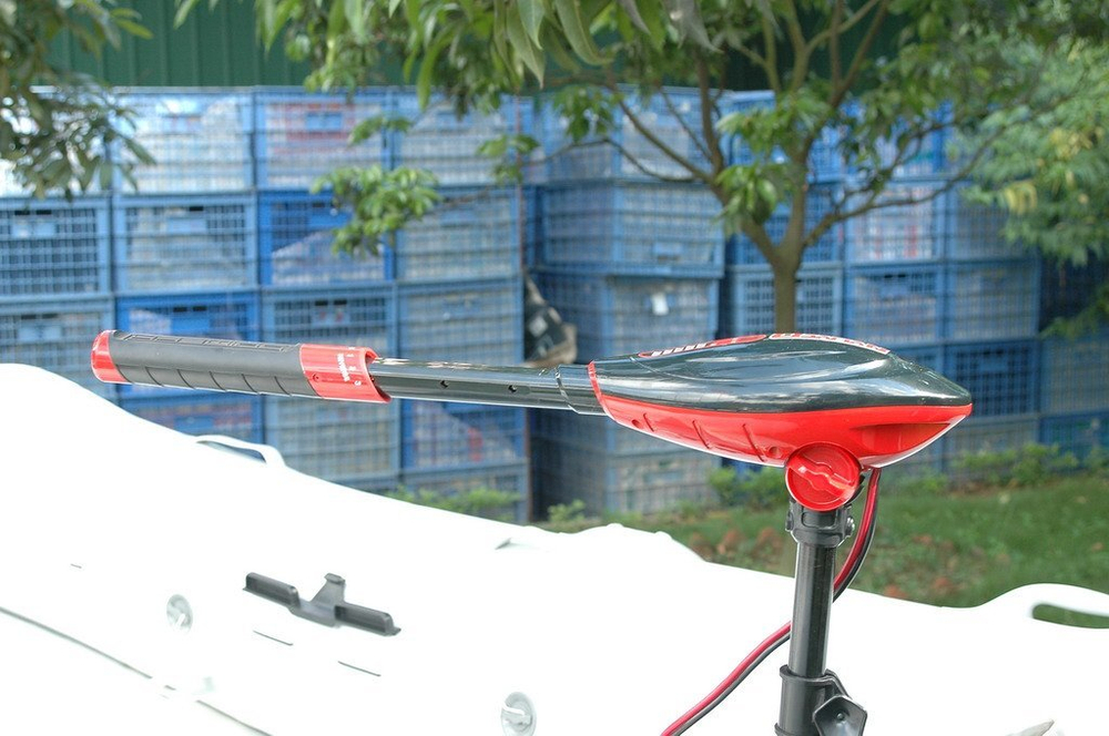 Электромотор Haswing Osapian 55