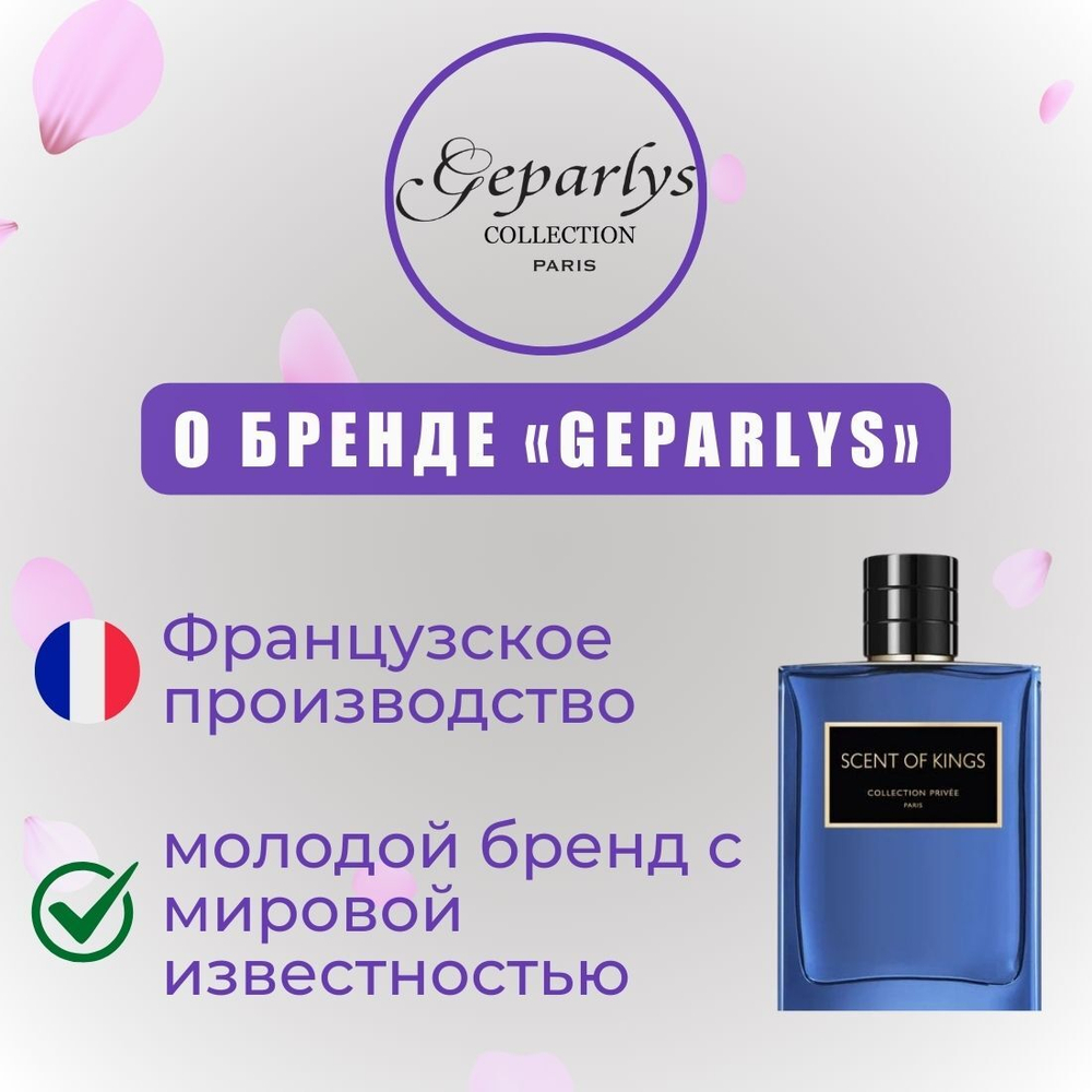 GEPARLYS Unforgettable Pure Black edT 100ml men