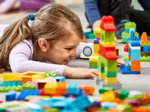 Конструктор LEGO Duplo 45028 Education - Мой мир XL