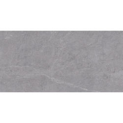 ALPINE GRIS 60x120 MATT