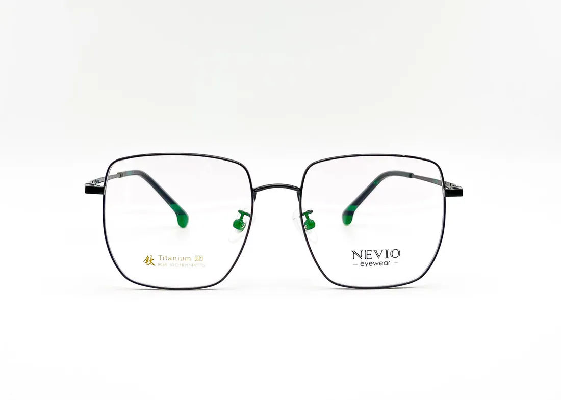 Изг. оправы Nevio 9069 C6