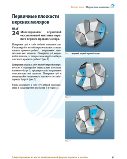 МОДЕЛИРОВАНИЕ ИЗ ВОСКА ПОЛНОЙ АНАТОМИЧЕСКОЙ ФОРМЫ КОРОНОК И МОСТОВ
