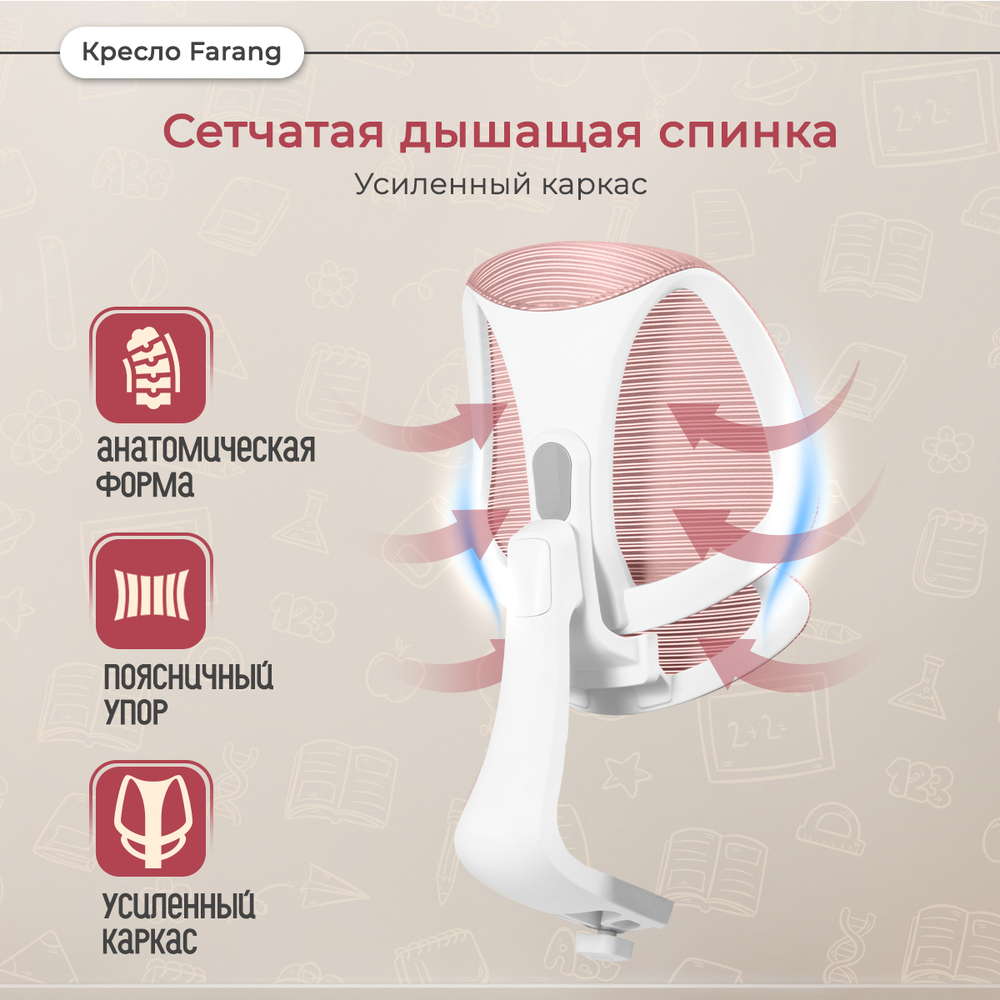 Эргономичное кресло Anatomica Farang