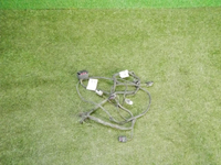 DSCN9390.jpg