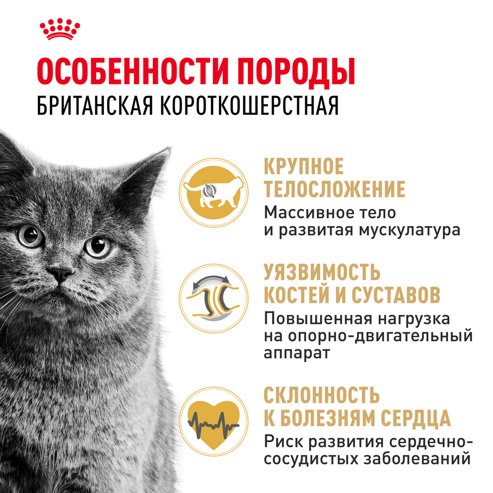 Royal Canin British Shorthair Adult Британская короткошерстная Эдалт Корм сухой для взрослых британских кошек 2кг