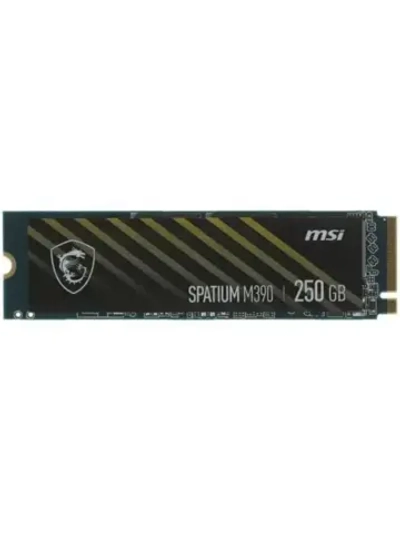 250 ГБ M.2 SSD накопитель SPATIUM M390 S78-4409PY0-P83