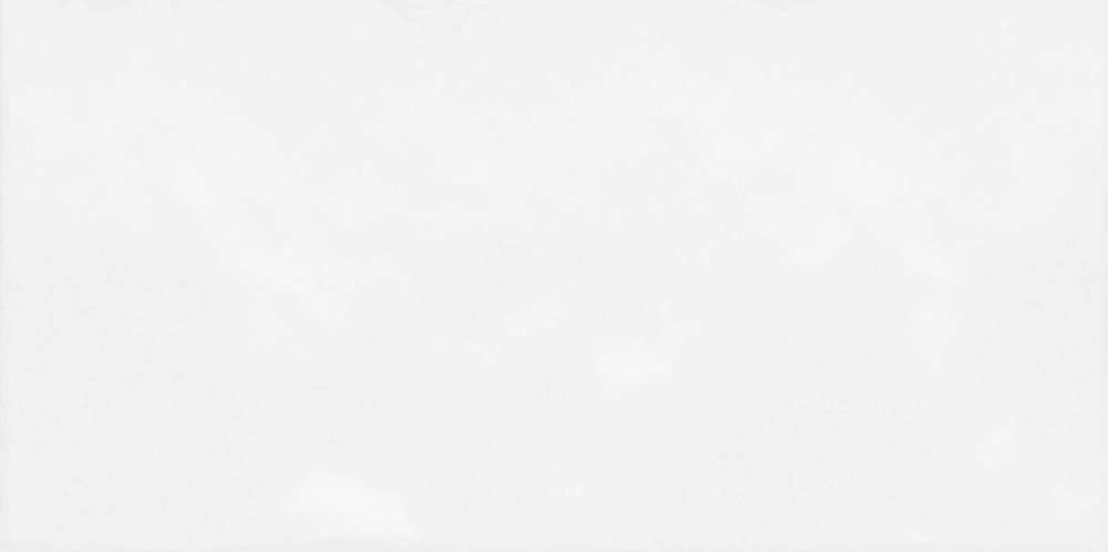TWU09MNR030 плитка облицовочная рельефная Моноколор / Monocolor 249*500 (11 шт в уп/73,98 м в пал)