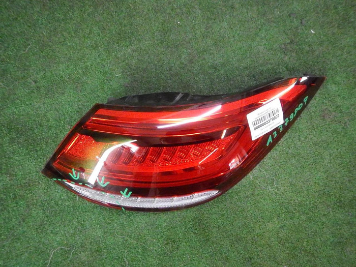 DSCN6157.JPG