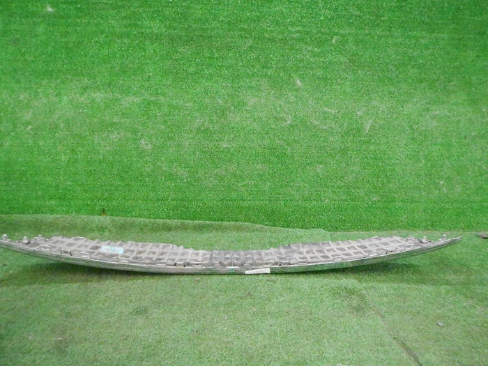 DSCN8074.JPG