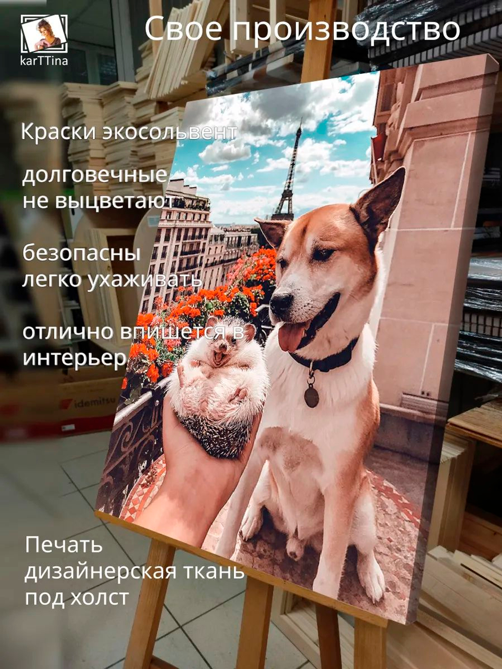 Картина "Енот-полоскун", модульная 50х70см 1шт.