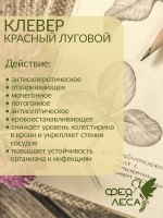 Клевер красный луговой целые цветки для свечей и эзотерики