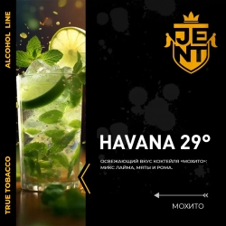 JENT 25гр. Мохито (Havana 29°)
