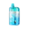 ELF BAR BC PRO 40000 - Blue Razz Ice (5% nic)