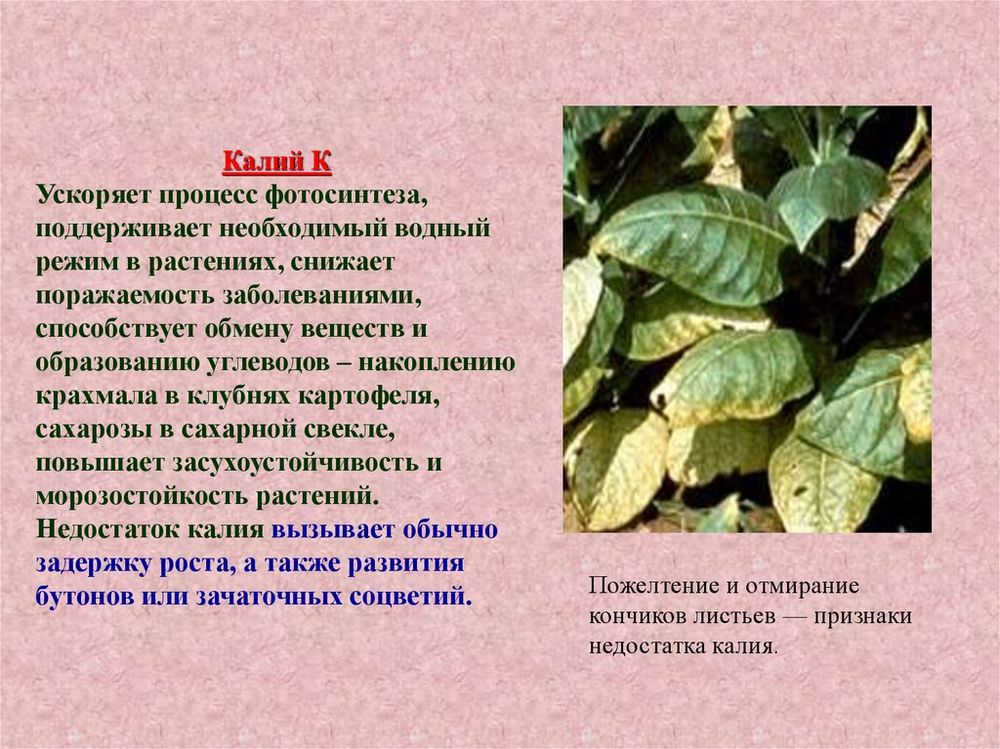 Коллекция Минеральные удобрения — купить по ФГОС | Учебный стандарт