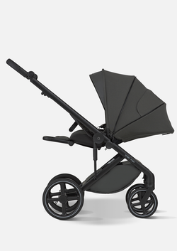 Anex Детская коляска Mev 2 в 1 Ditto