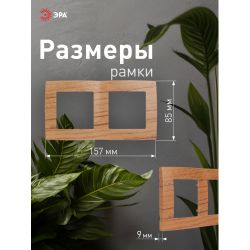 12-5002-09 ЭРА Рамка на 2 поста, Эра12, дуб | Эра 12