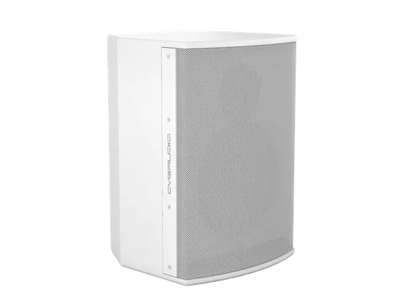 CVGAUDIO BS808TW корпусная акустическая система