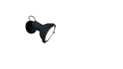 Потолочный светильник Nemo PROJECTEUR 165 WALL/CEILING